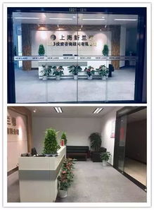上海新兰德证券投资咨询顾问有限公司武汉分公司怎么样？