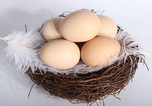 鸡蛋壳上有斑点能吃吗 蛋壳上有斑点是怎么回事 