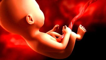 原创孕期，想提前知道“胎宝性别”？看完“破解”可能就明白了！