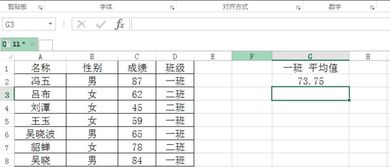 在Excel中如何对按条件筛选出的数据进行求平均值运算 