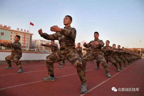 厉害了 瑜伽进军营,特种兵哥哥狂练倒立 一字马 