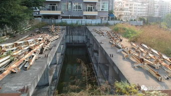 佛山免费停车场哪里有(高州市区免费停车场在哪里)