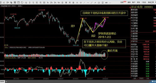 股票600833的这股好吗?还是002071的好，能帮看看吗