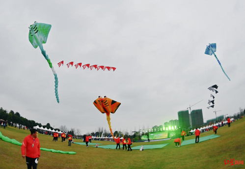 空中逐鹿 ,一年一度的风筝盛会在成都崇州举办