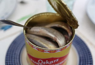 鲱鱼罐头不好吃 那是你没用对方法,老外这样吃,鲜香又美味