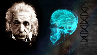 80.com 决战量子之巅 主玻尔VS爱因斯坦 一些20世纪初的物理学家 土豆视频 