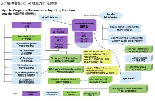 请问，有限责任公司董事会成员如何选举?以何种方式选举？