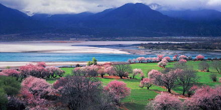 北戴河免费停车场在哪里(林芝免费停车场在什么地方)