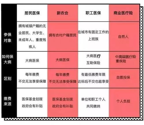 大病医保怎么报销的(桐乡市大病医疗保险)