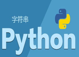 去哪里找python的开源项目(国内免费python服务器)