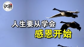 佛说父母恩重难报经第八远行忆念恩