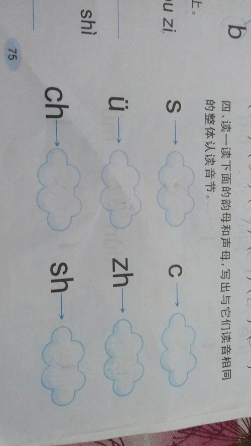 读下面的韵母和声母,写出它们读音相同的整体认读音节 