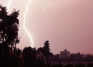 疏雨，细雨如丝般的温柔寓意，疏雨的意思是什么意思