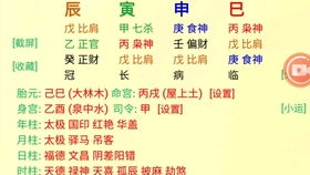 教你学八字 地支代表的人体器官和肢体