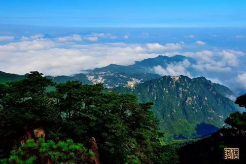 游黄山送九华山双飞6天纯玩 