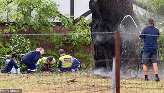 10分钟内发生两起雷击事件 71岁老太出门就被雷劈