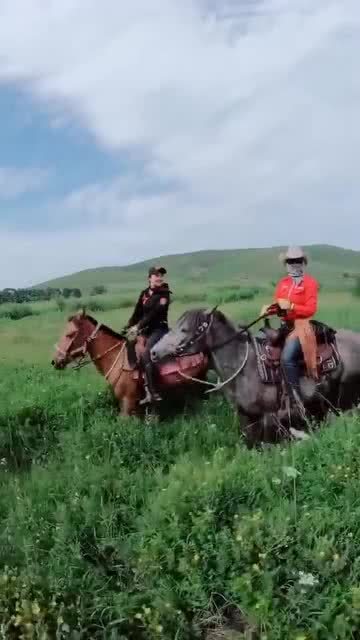 骑马宝马奔驰在草原上 