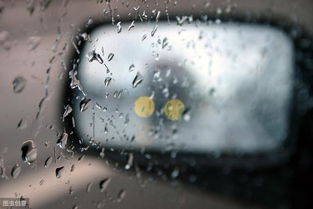 秋天阴雨绵绵,开车出门前做好这3步,视野清晰,车身更干净