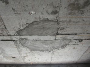 钢筋保护层偏小引起混凝土楼板底表面返锈,开发商用石灰 腻子粉 粉刷下这样行吗 帮我分析下 