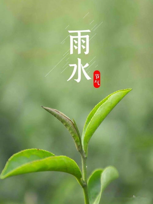 雨水 当春乃发生,好雨知时节