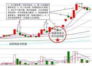 股票股票 为什么那么难懂