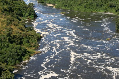 亚马逊河流的介绍 