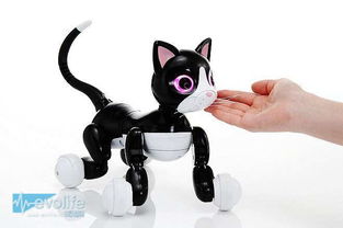 能卖萌会耍宝 猫型机器人帮你告别孤单