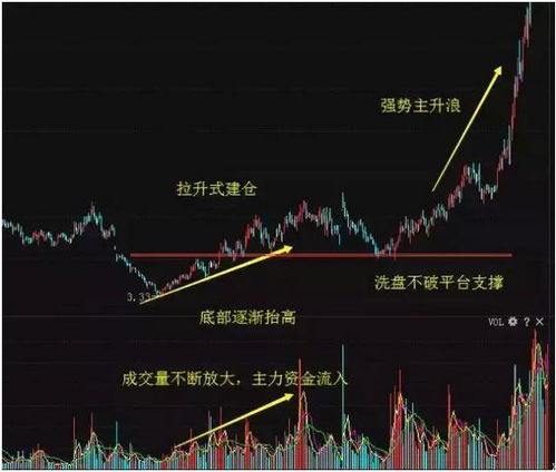 川化股份10股转送17股，大股东和散户都有吗如果有，什么时候到账户