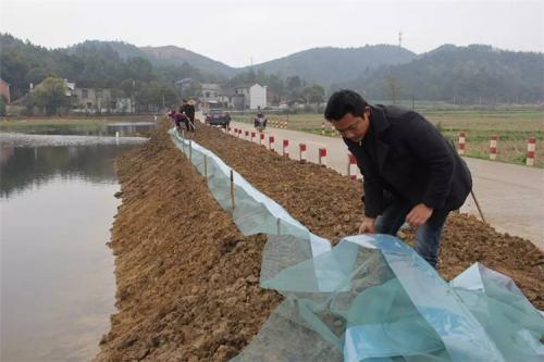 内蒙古无土养殖泥鳅系列,野生泥鳅养殖电话咨询