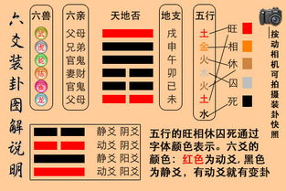 乐天师傅 十二属相的佩戴喜忌