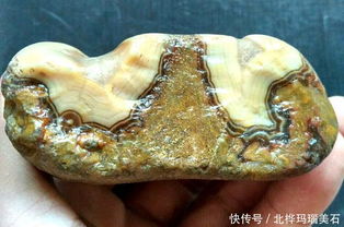 一个黑龙江的石头爱好者捡到的玛瑙原石 
