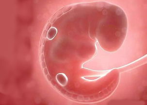 怀孕多久有反应 怀孕的征兆 怀孕初期的症状表现 妈妈育儿网 