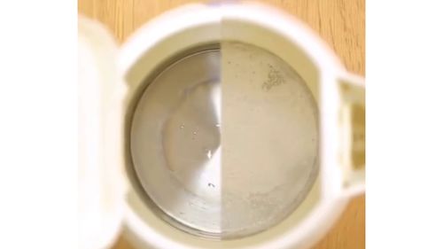热水壶的清洁,加柠檬可以去水垢,你要试试这种方法吗 