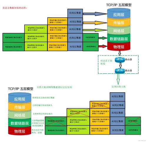 网络理论基础入门