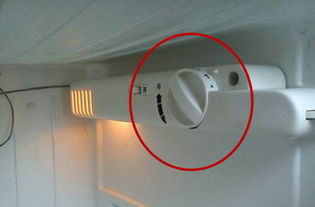 冬天冰箱使用少,怎么调节最省电 99 的人都不知道这个秘密 