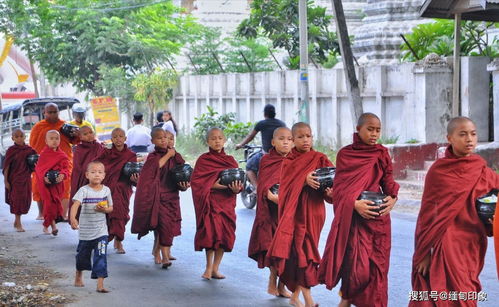 缅甸旅游 缅甸小和尚漫长的一天怎么度过