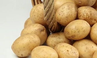 专业农技 农业农村部发布了14种秋冬作物施肥指导,先收藏了再说 上篇,马铃薯 果树 设施蔬菜 茶园篇
