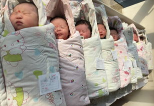 春节我在岗丨甘肃省妇幼保健院诞生首位龙宝宝
