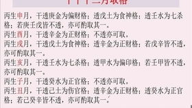 041曾勇老师讲四柱八字知识点之干支冲合刑害关系全面理解