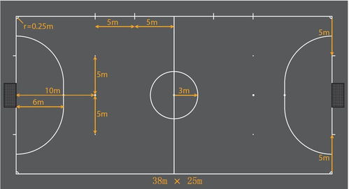 五人制规范场所的标准尺寸 多利隆
