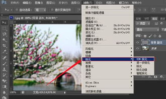 照片导入Photoshop CS6里之后,图片显示模糊怎么调整 