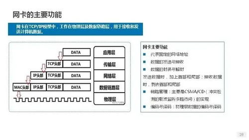 详解服务器 磁盘和网卡知识