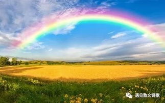 朗诵 不惧风和雨,只因雨后见彩虹