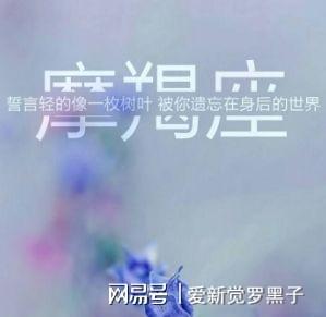 骄傲永存的摩羯座,网友 别那么骄傲,我快被你虐疯了