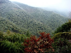 湖南娄底九峰山森林公园景点介绍(娄底九峰山公园免费停车场)