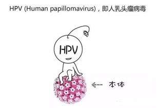 如何鉴别是不是HPV感染,怎么知道自己是不是已经感染了HPV病毒