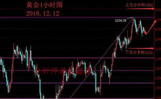 赵暮鑫 12.12黄金期震荡回调连阴只不过是修正继续看涨