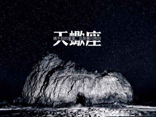 宽容大度 的星座,总是处处替别人着想,却习惯把悲伤留给自己