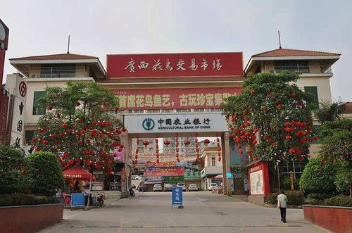 中国十大花鸟鱼虫批发市场盘点 去哪里买花鸟鱼虫更便宜