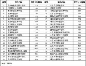 在山东招考的二本院校有哪些。艺术文科生480左右能报哪些广播电视编导专业的二本学校省内省外都行